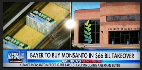 Bayer-Monsanto-Fox-News
